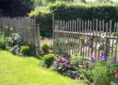 Bauerngarten mit Hainbuche und Hanicklzaun