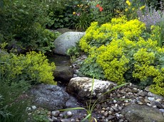 Gartenplanung Bachlauf Quelle Schwimmteich