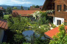 Schwimmteich Rosen Stauden Pergola