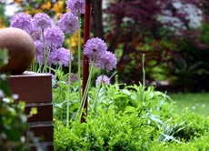 Stadtgarten Landhaus Gartenmauer